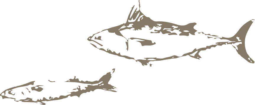 Kiên Trịnh - COOKOO