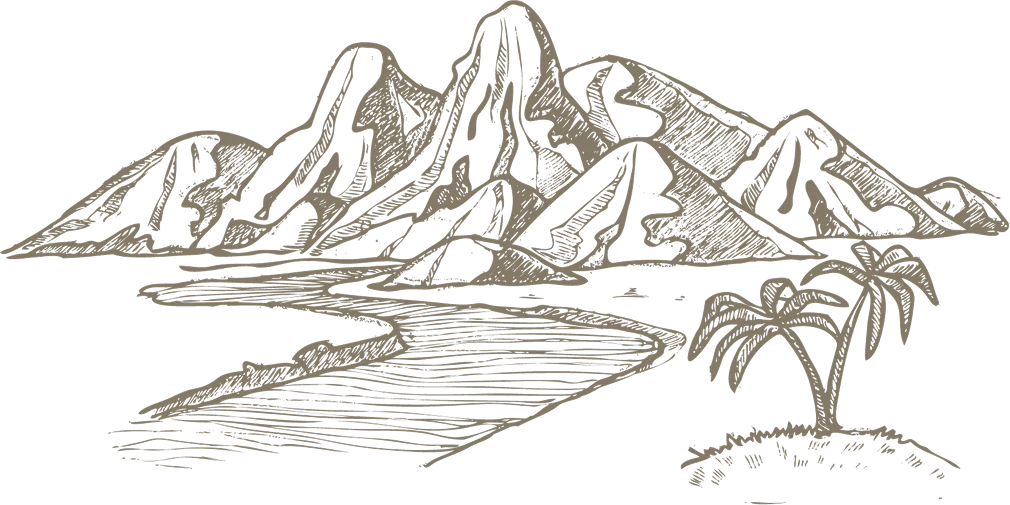 Kiên Trịnh - COOKOO