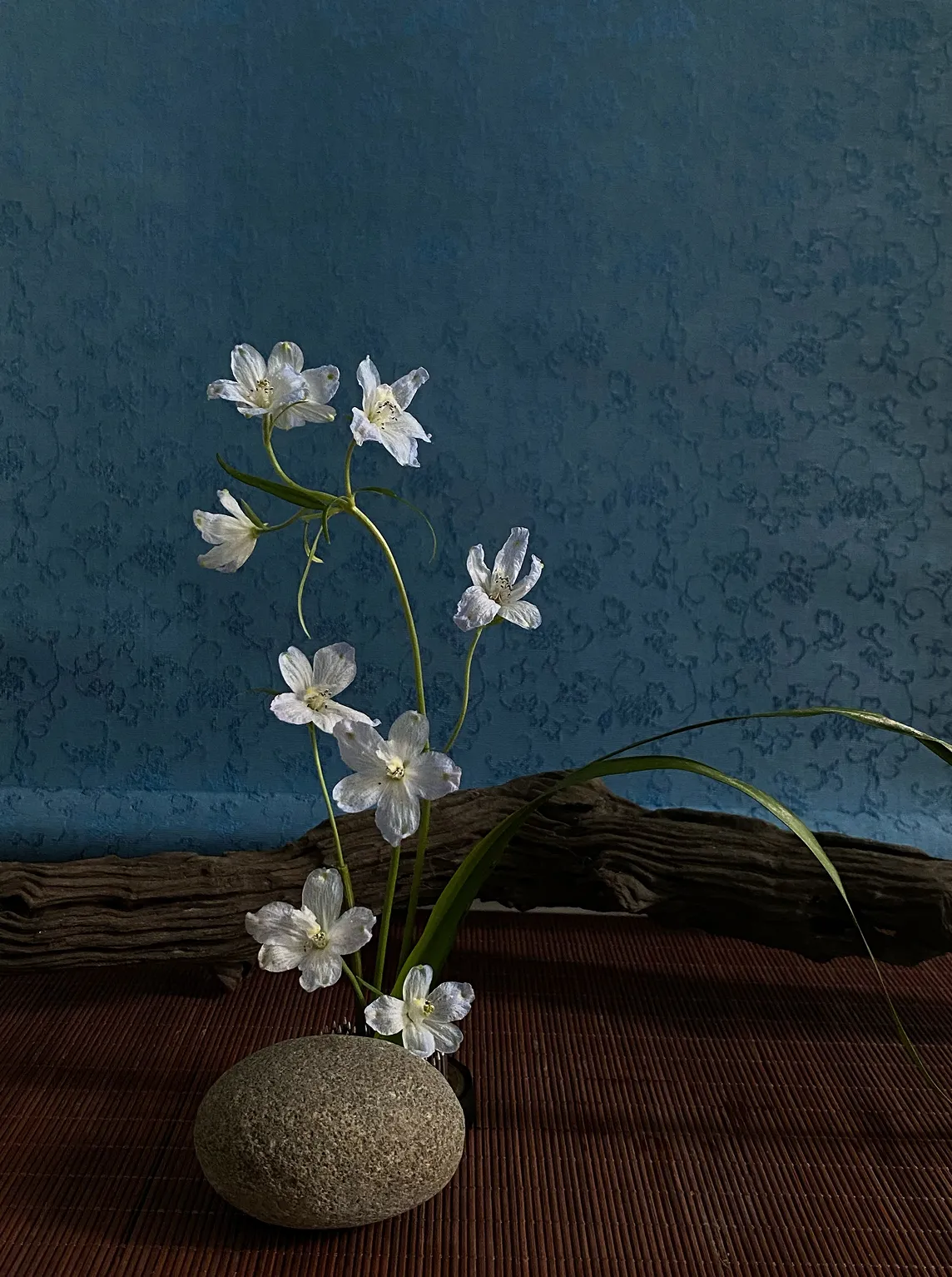 Tiến Đạt Ikebana - COOKOO