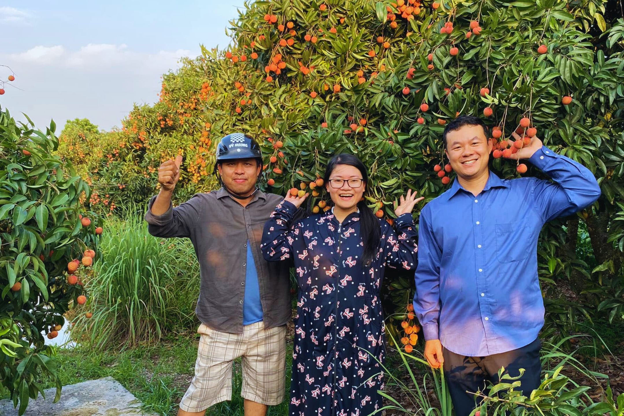 Hoàng Ngọc - Vải