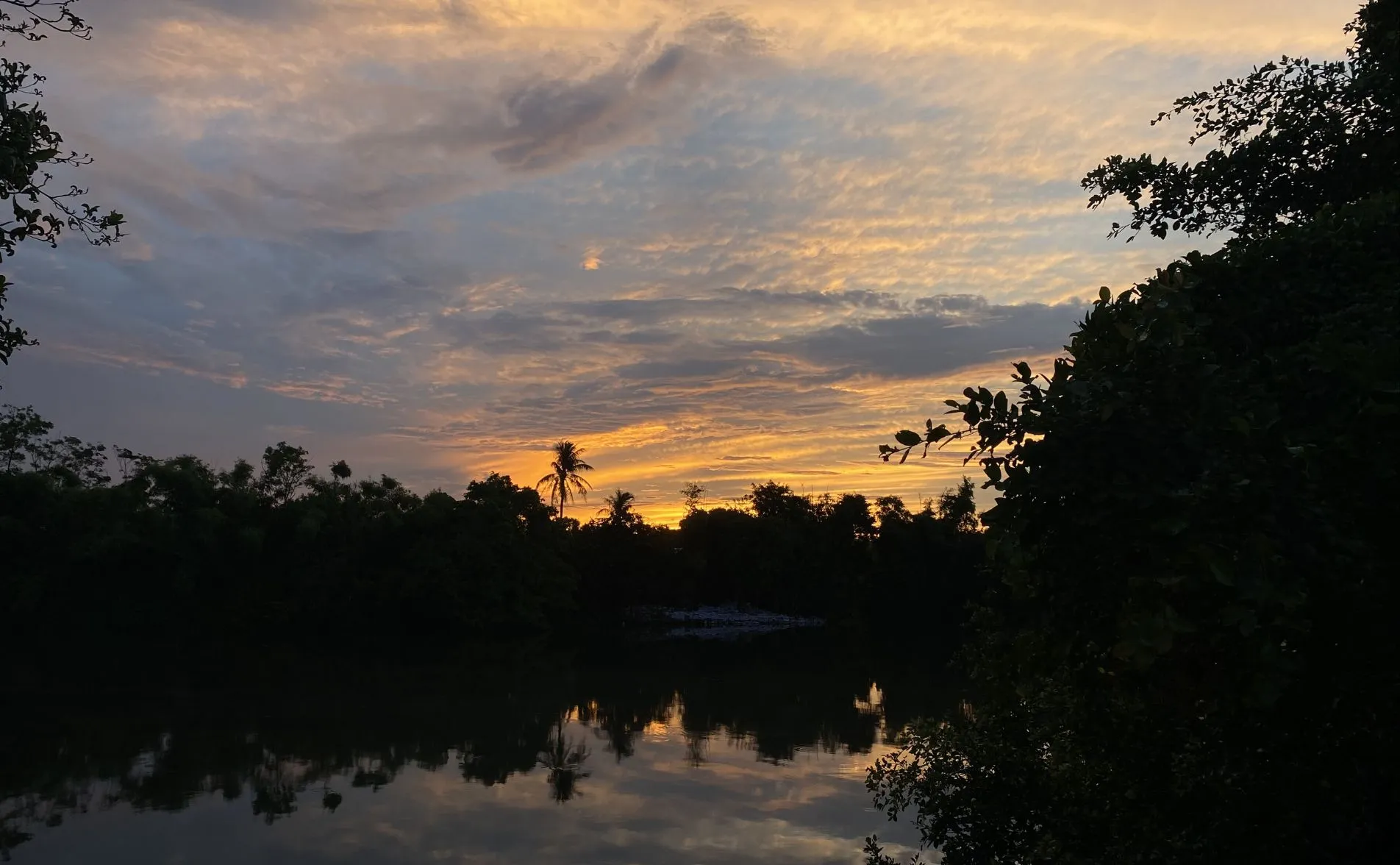Bữa cơm thực tại - COOKOO