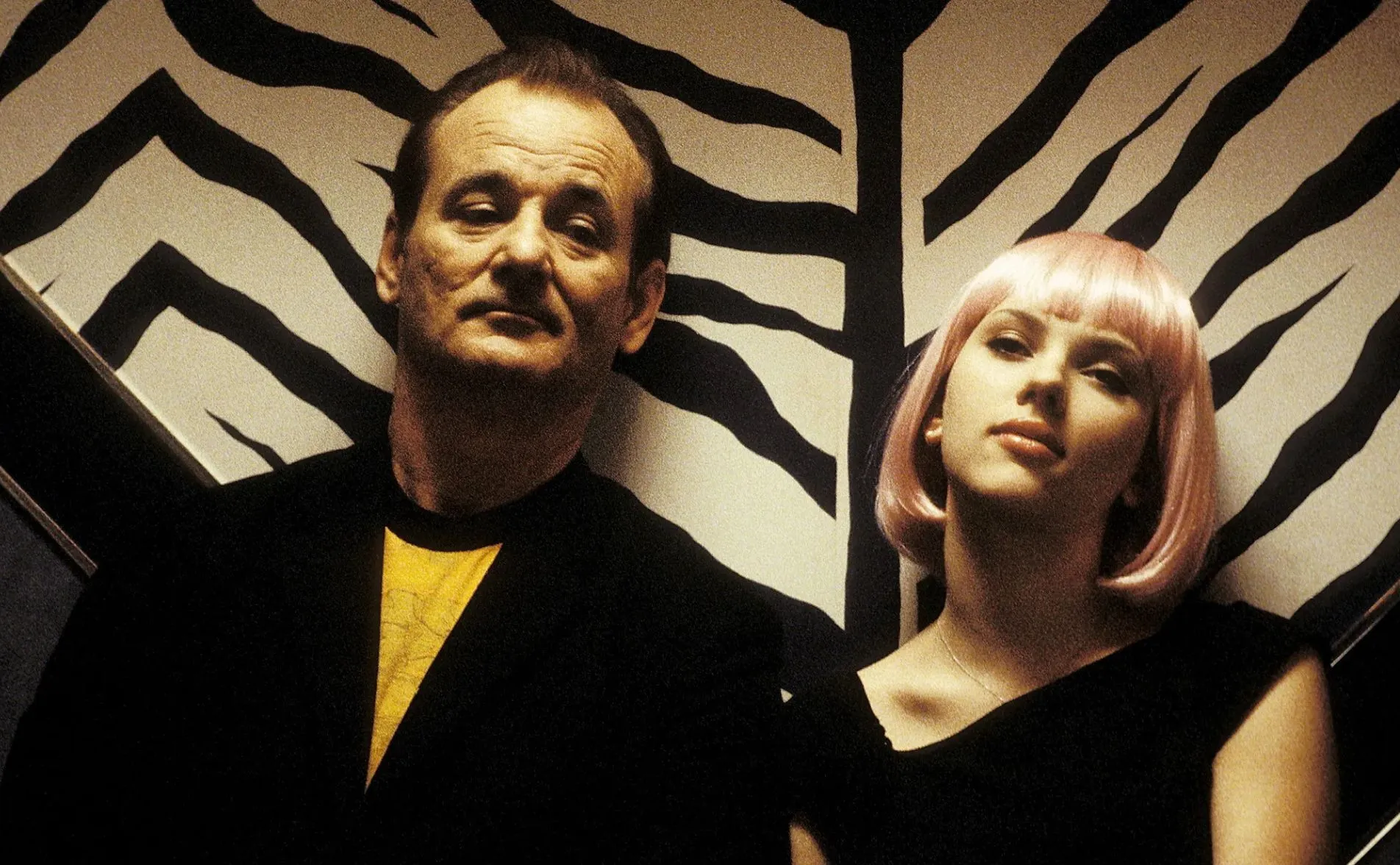 Lost in translation - COOKOO