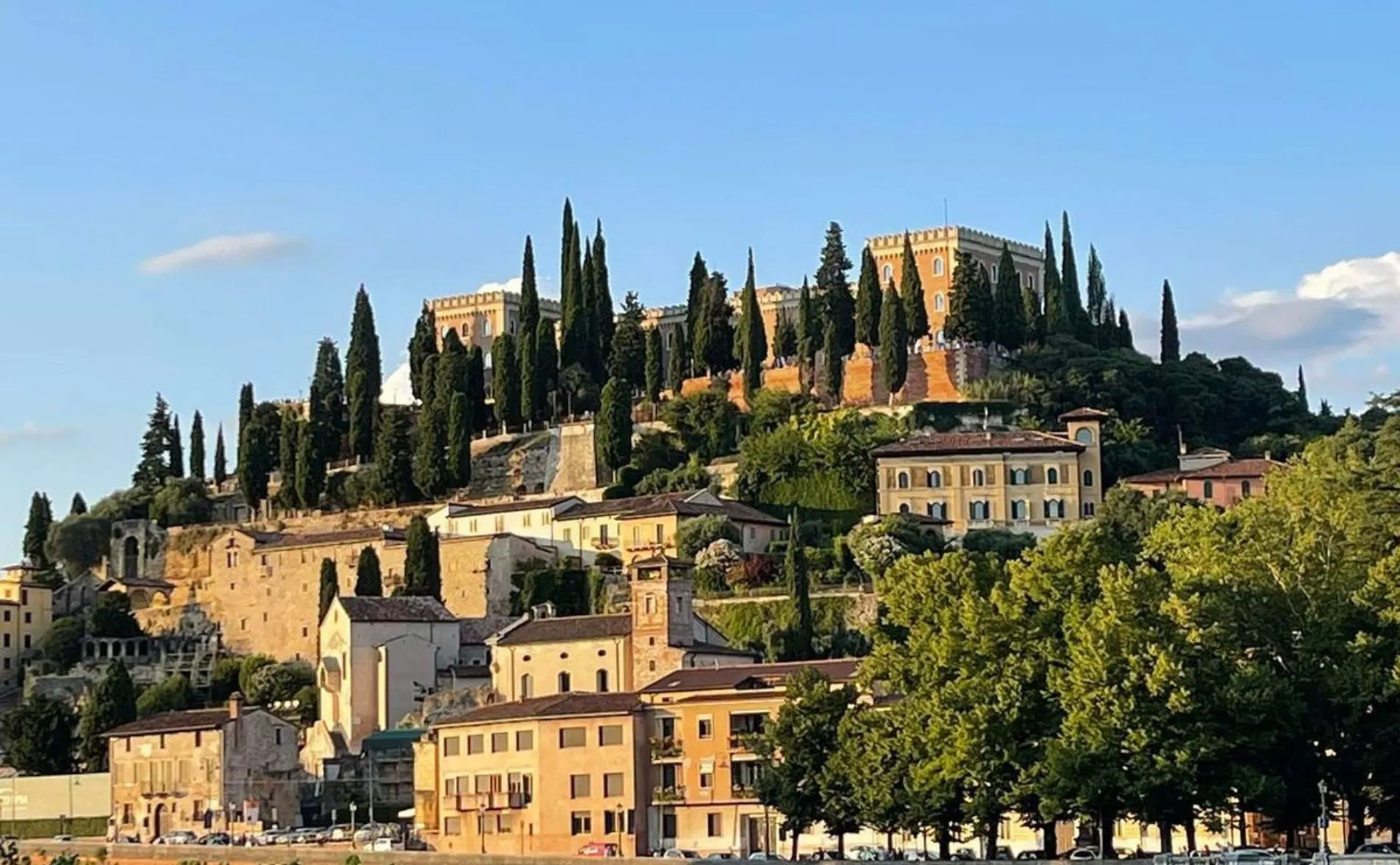 Verona - COOKOO